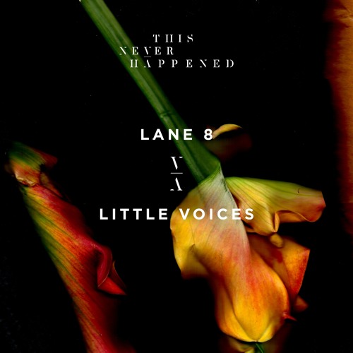 Lane 8 — Little Voices