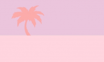 FNP — Somewhere South